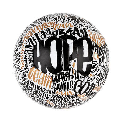 Pallone da calcio Rebond Denis Meyer