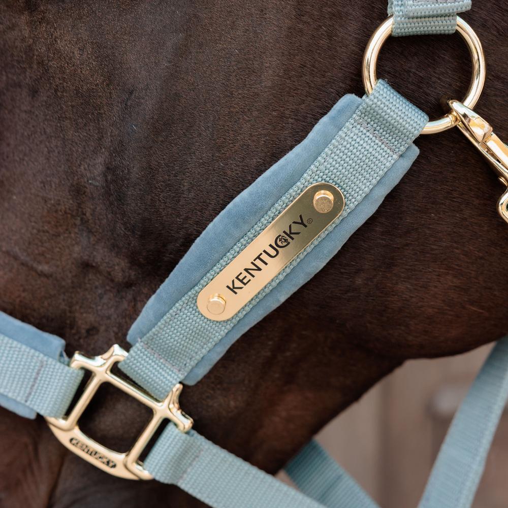 Velvet Halter light blue Full 3/7