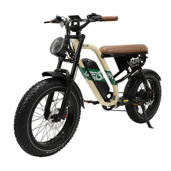 ONESPORT W66 Bicicletta Elettrica - Potenza 500W 48V 13.5Ah Freno A disco -Beige