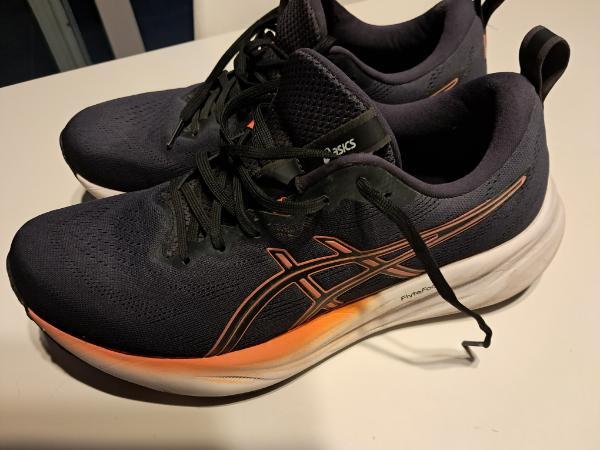 ASICS picture
