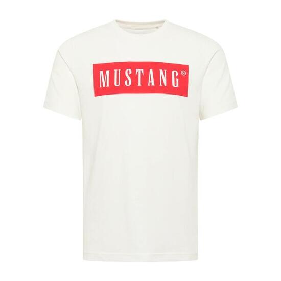T-Shirt Herren 1er Pack Bequem sitzend-Style Austin