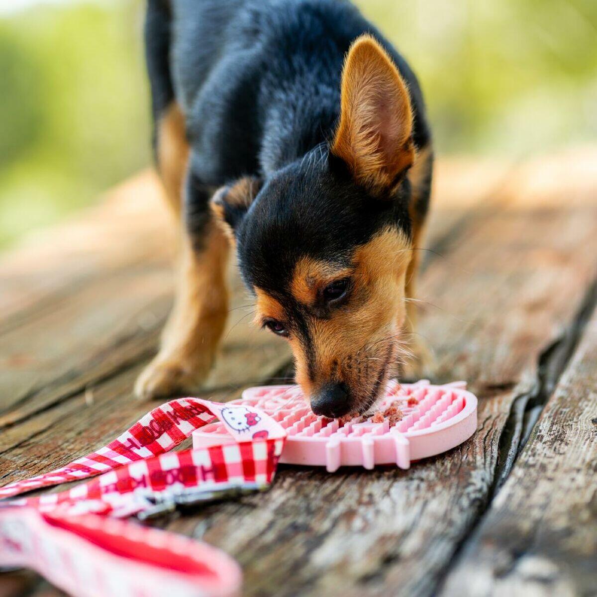 Mangeoire pour chiens HELLO KITTY Pink 3/5