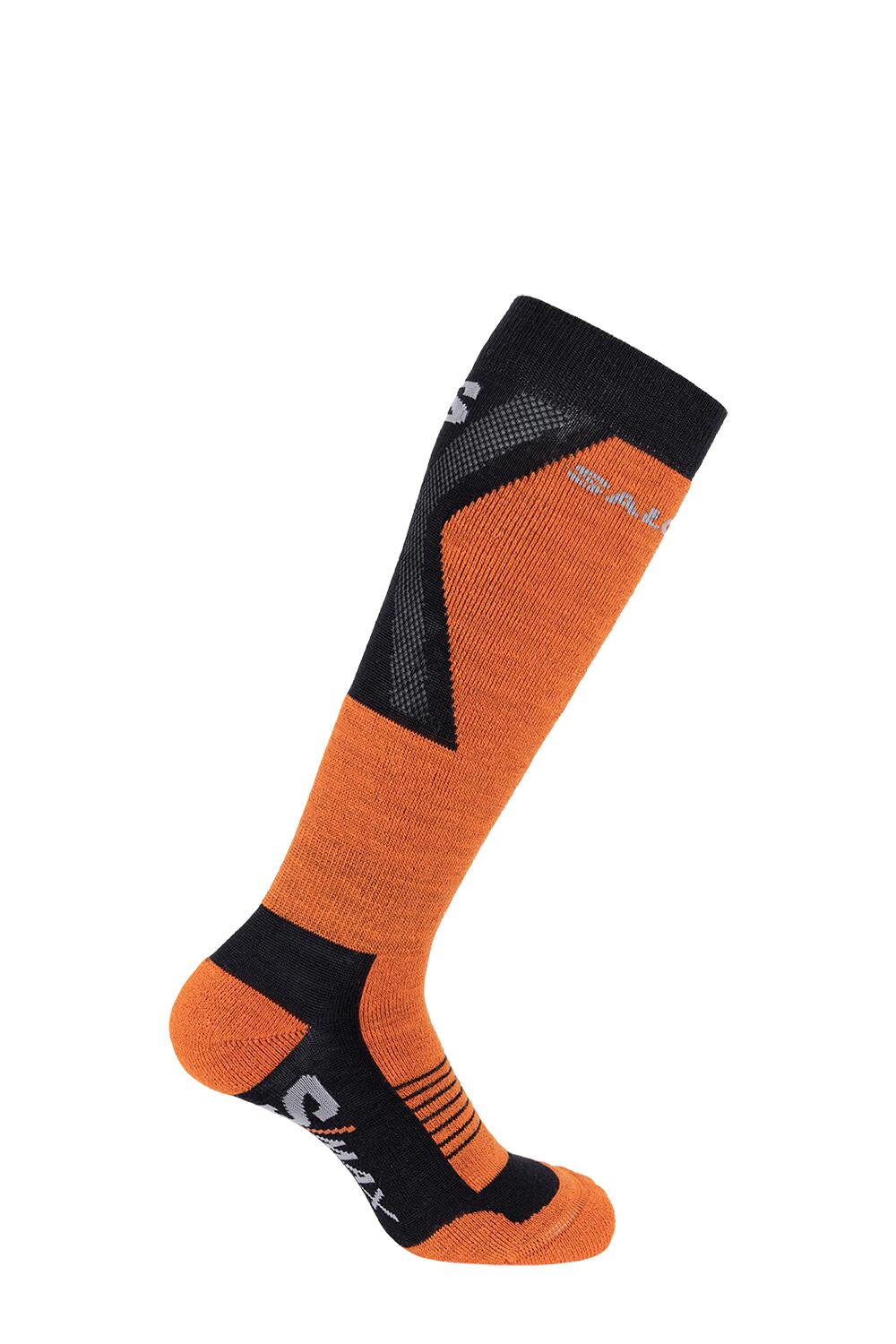 SALOMON picture