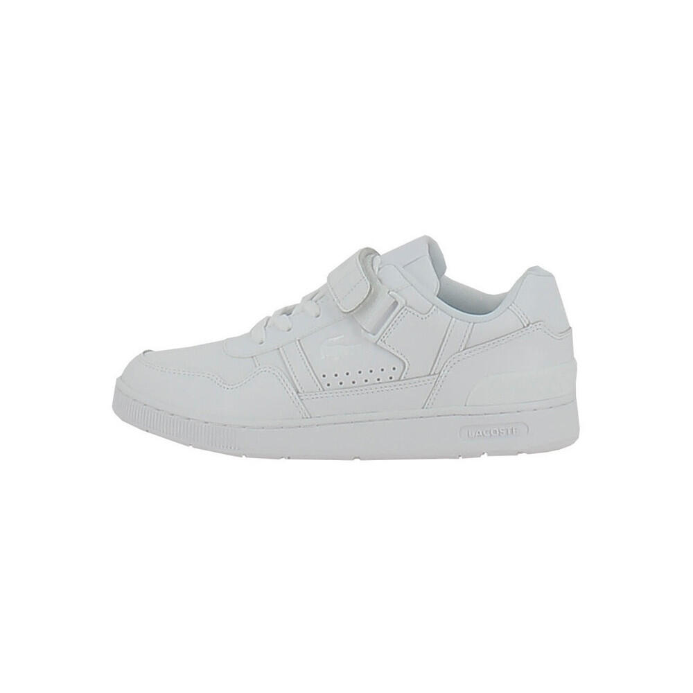 LACOSTE picture