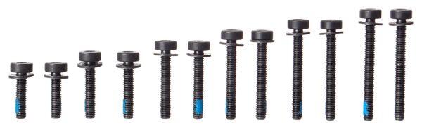 MAGURA Magura schroevenset Flat Mount achtermontage Torx T25 M5, 12 stuks