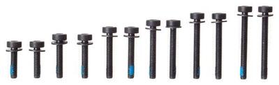 Viti Torx Magura Flat Mount Posteriore