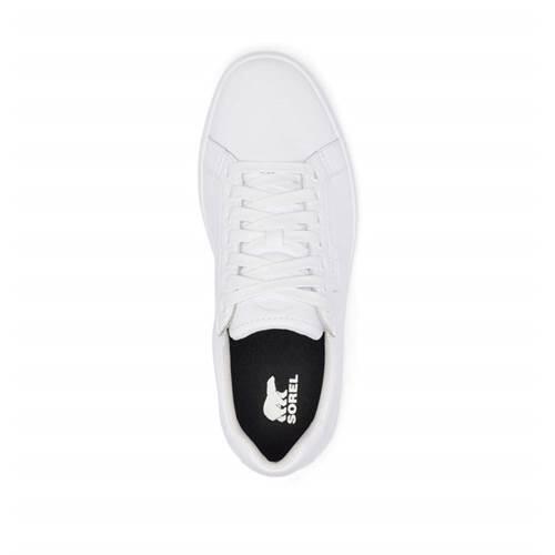 Chaussures universel femmes Sorel W Cyprus Lx 5/5
