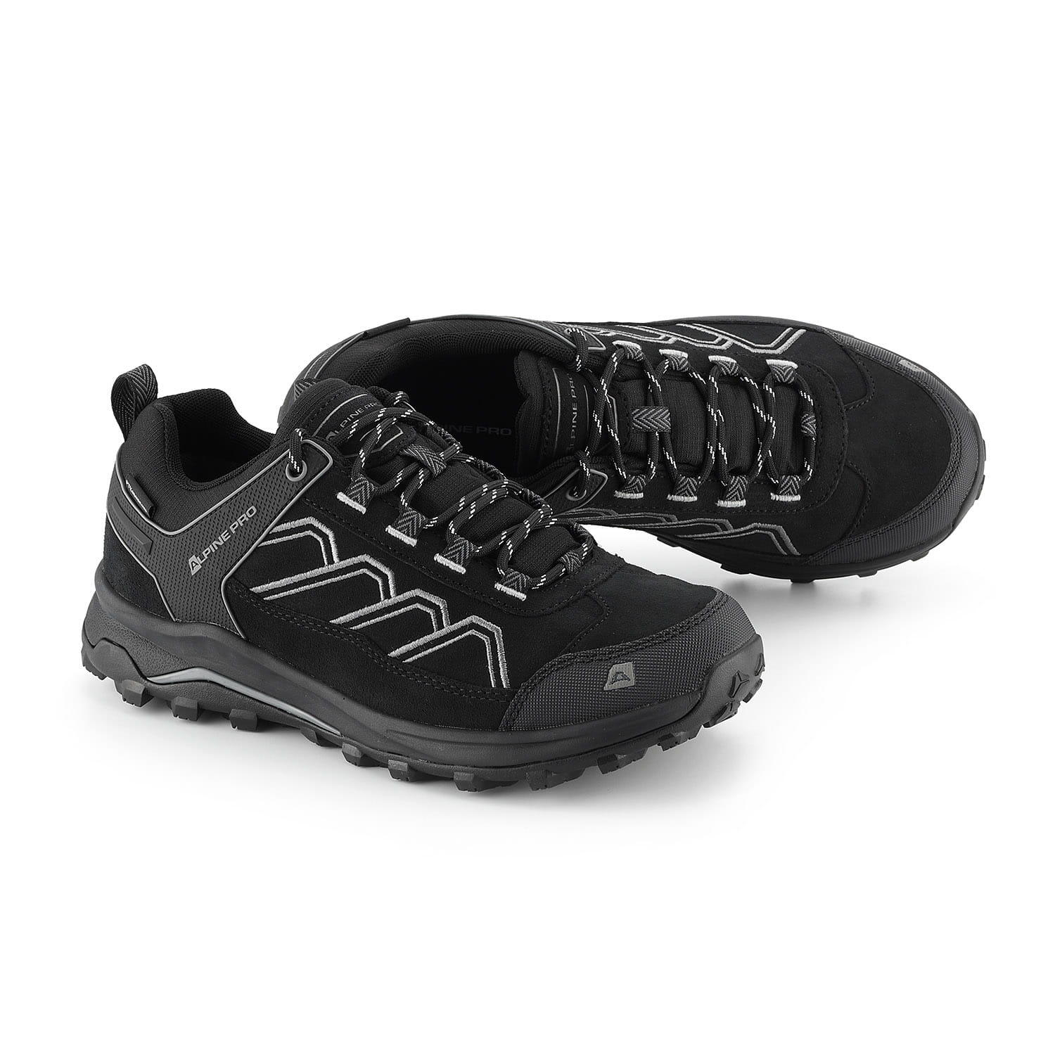 ALPINE PRO picture