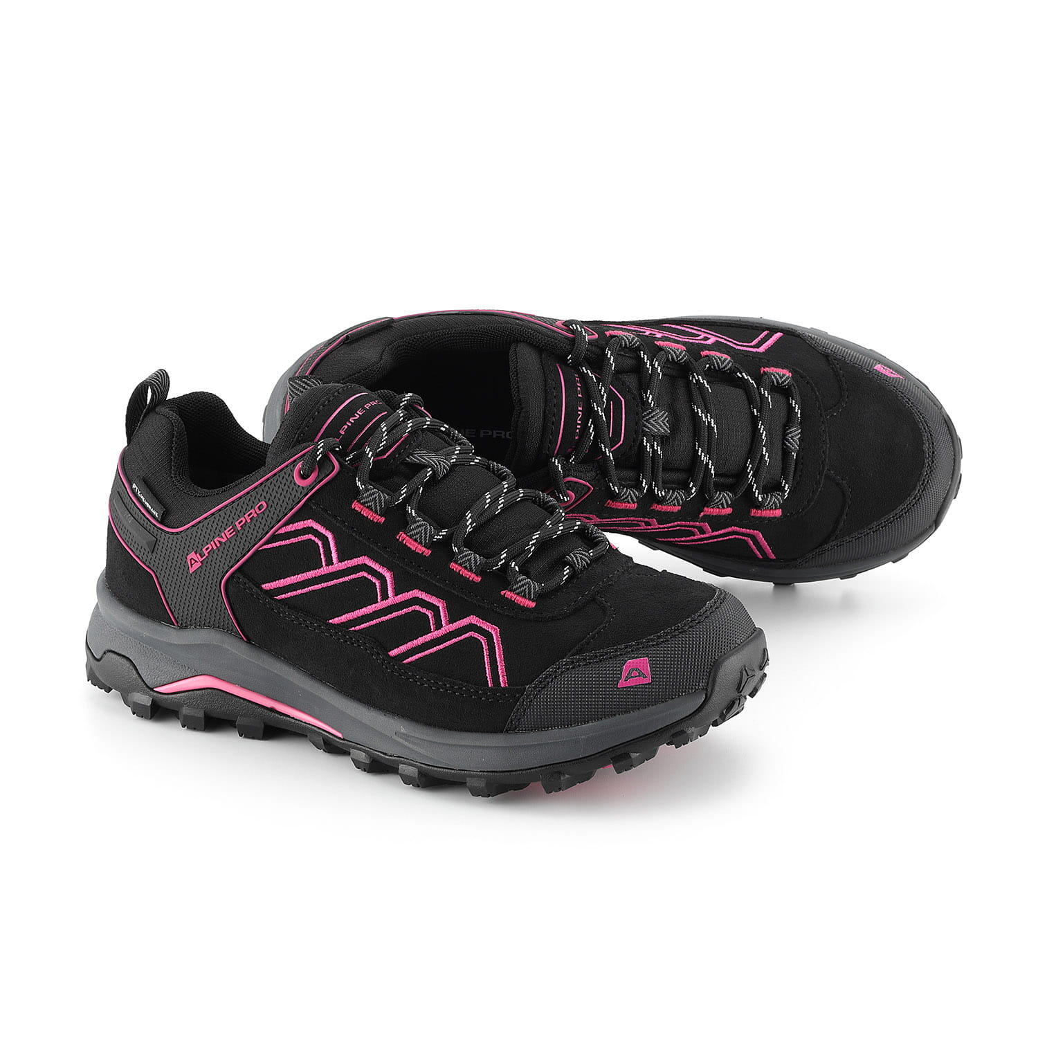 ALPINE PRO picture
