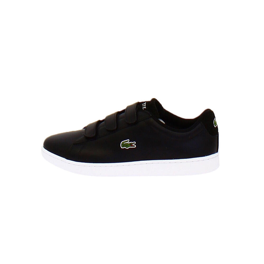 LACOSTE picture