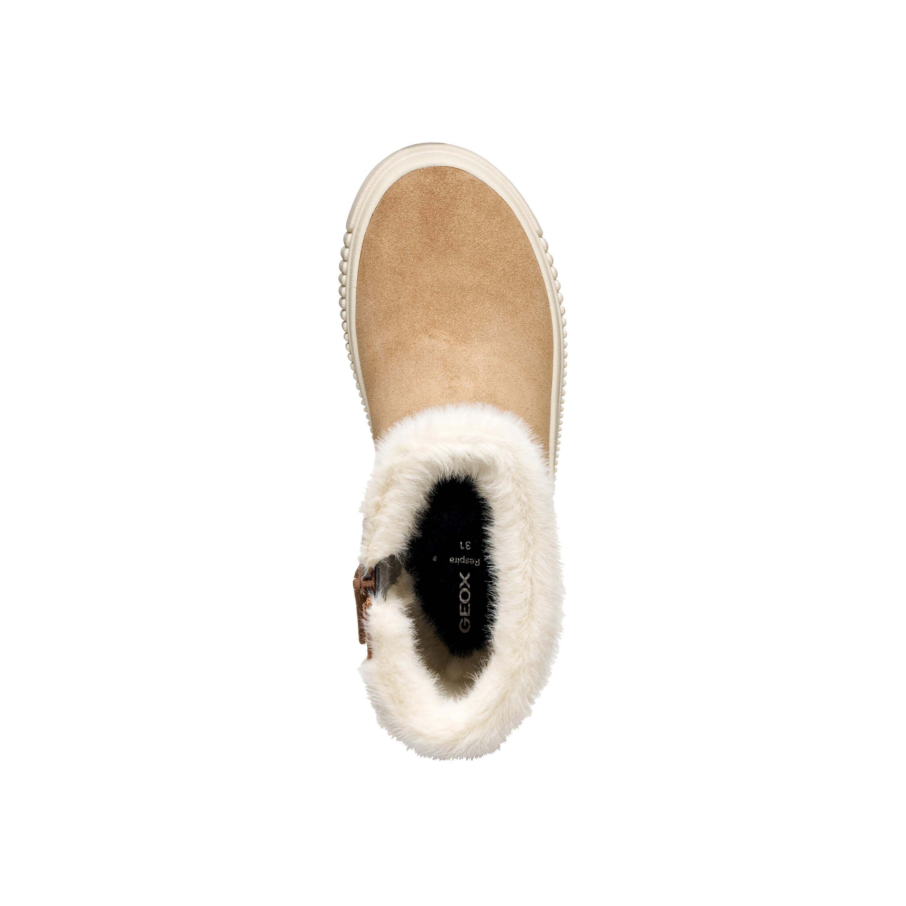 Bottine A Zip Junior Geox Laquinny - Enfant 5/5