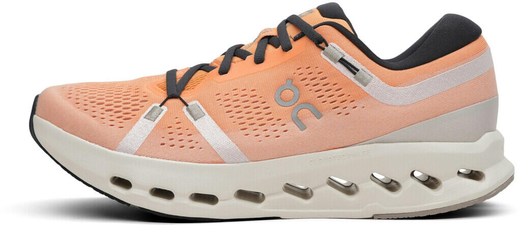 ON Herren Schuh Cloudsurfer 2 2/3