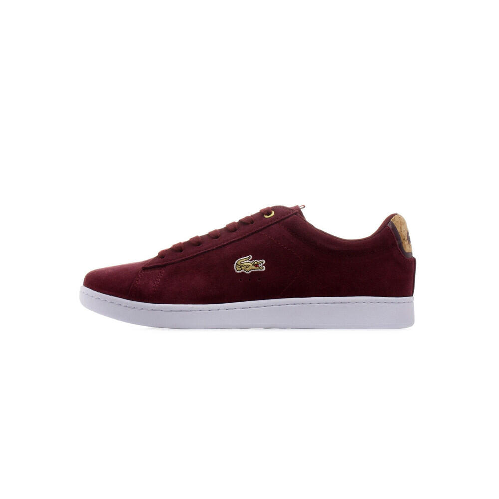 LACOSTE picture
