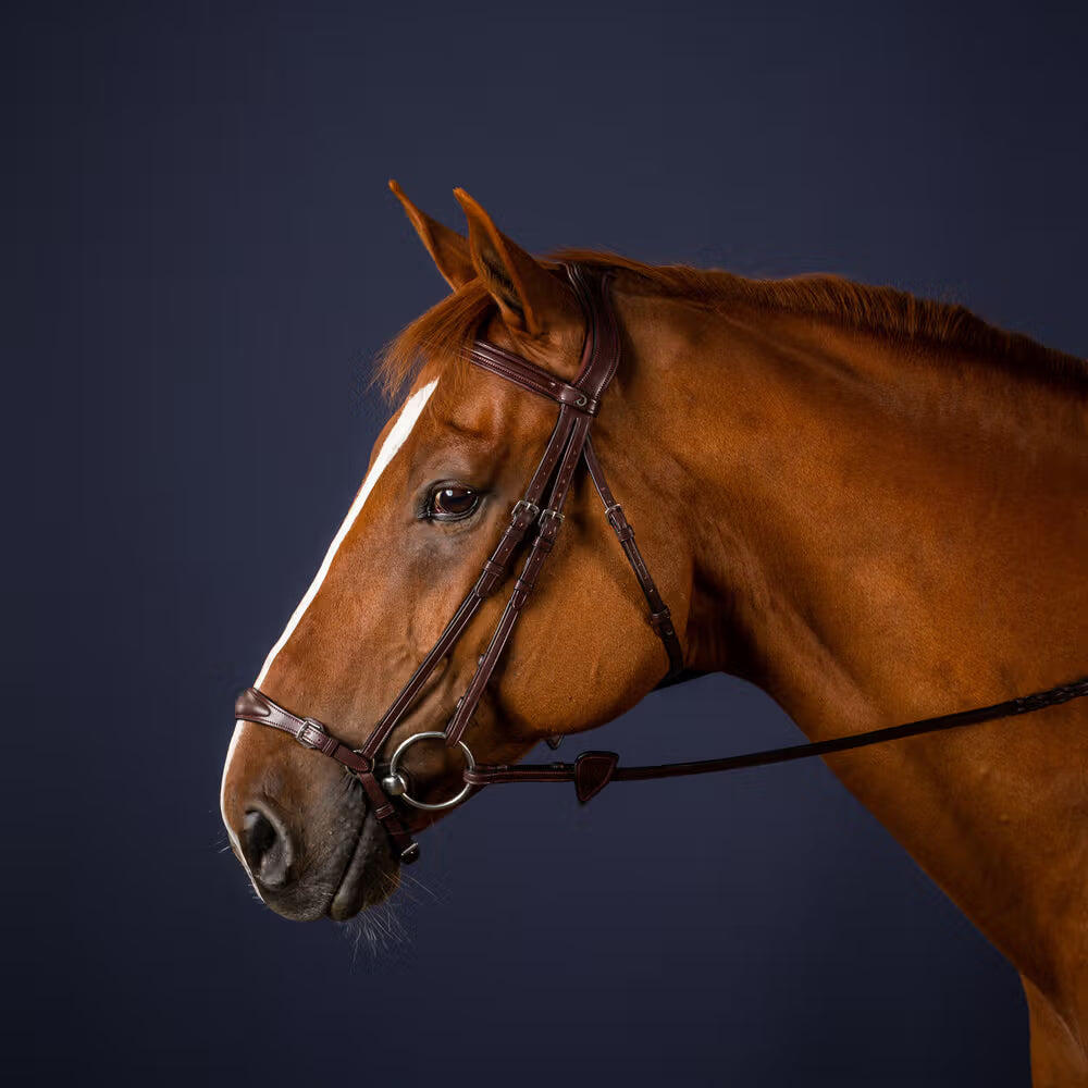 Briglia da equitazione anatomica con nasello regolabile Dy'on 4/4