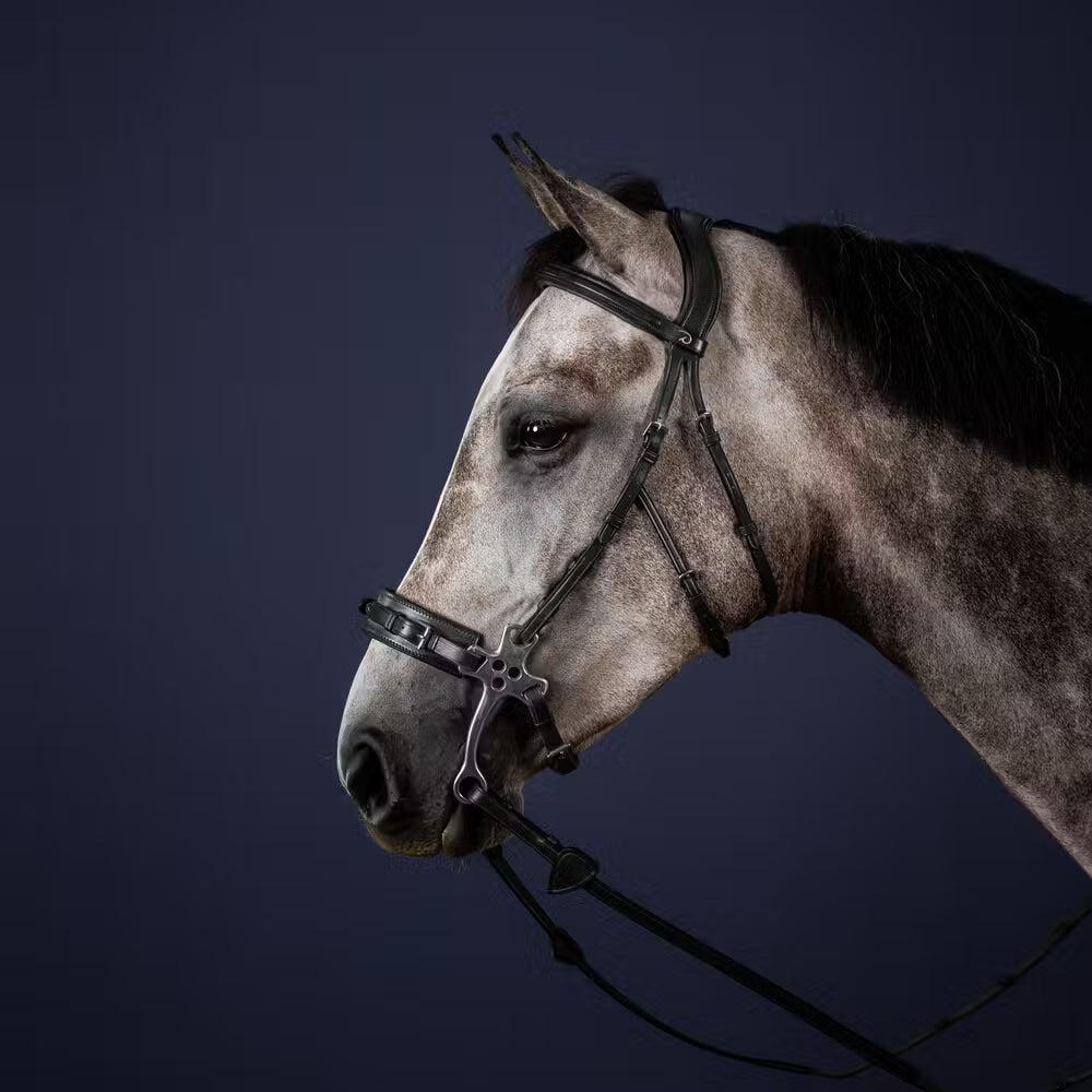 Hackamore para caballo Dy'on 2/7