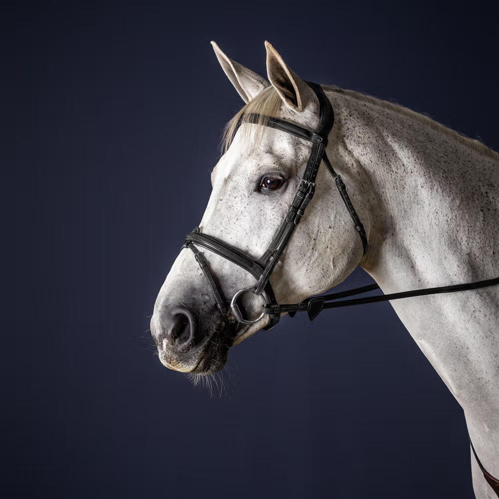 Briglia combinata da equitazione con nasello Dy'on Flash New English Collection 2/4