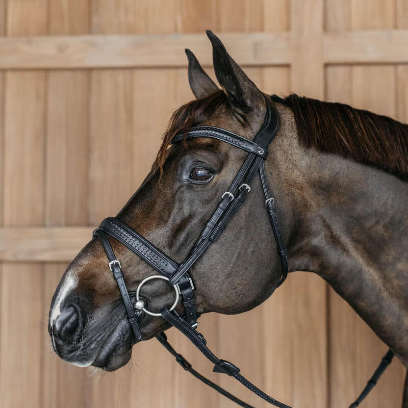 Dy'on Plaited Flash Noseband Hoofdstel With Pull Back Bruin -