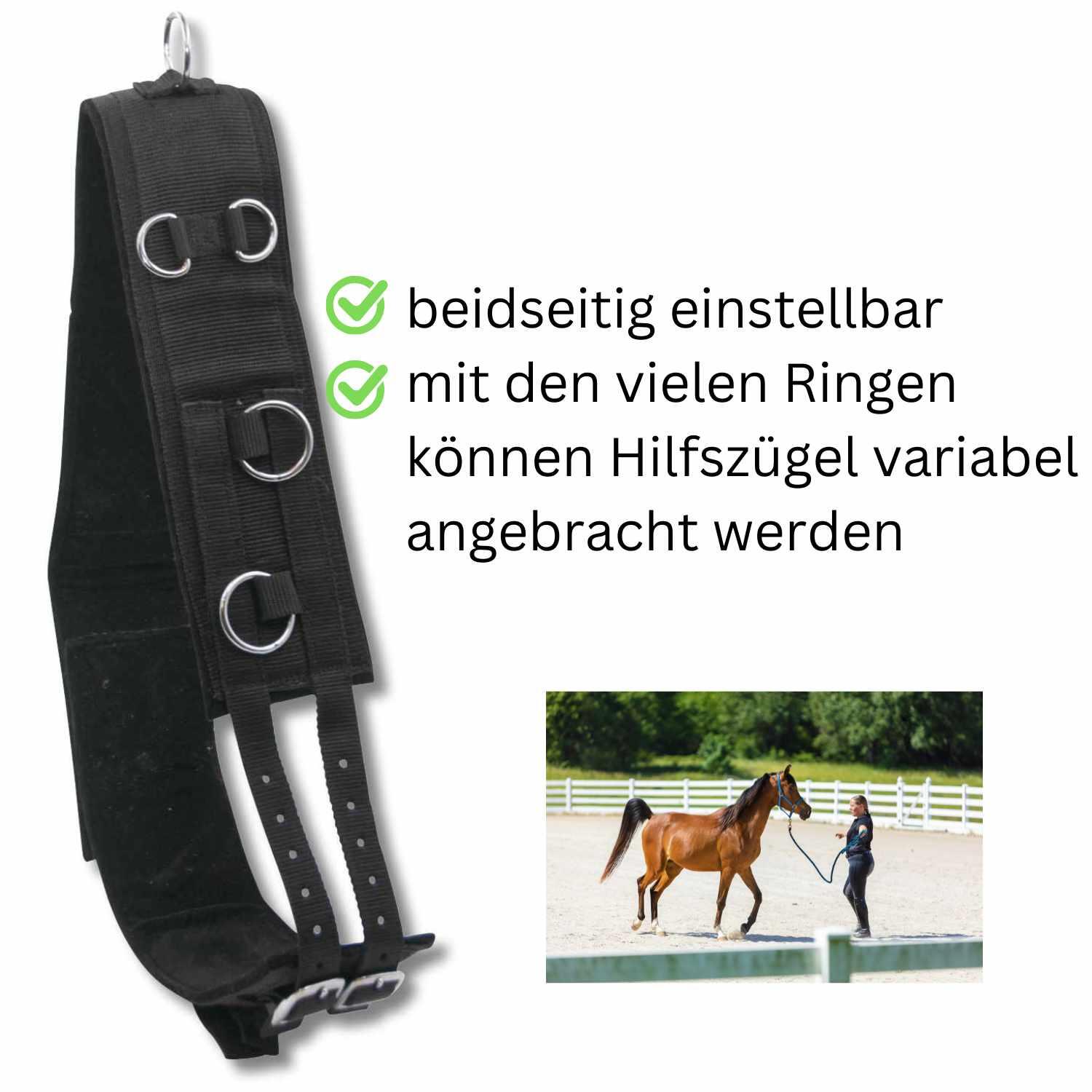 AMKA Voltigiergurt/Longiergurt 2/4