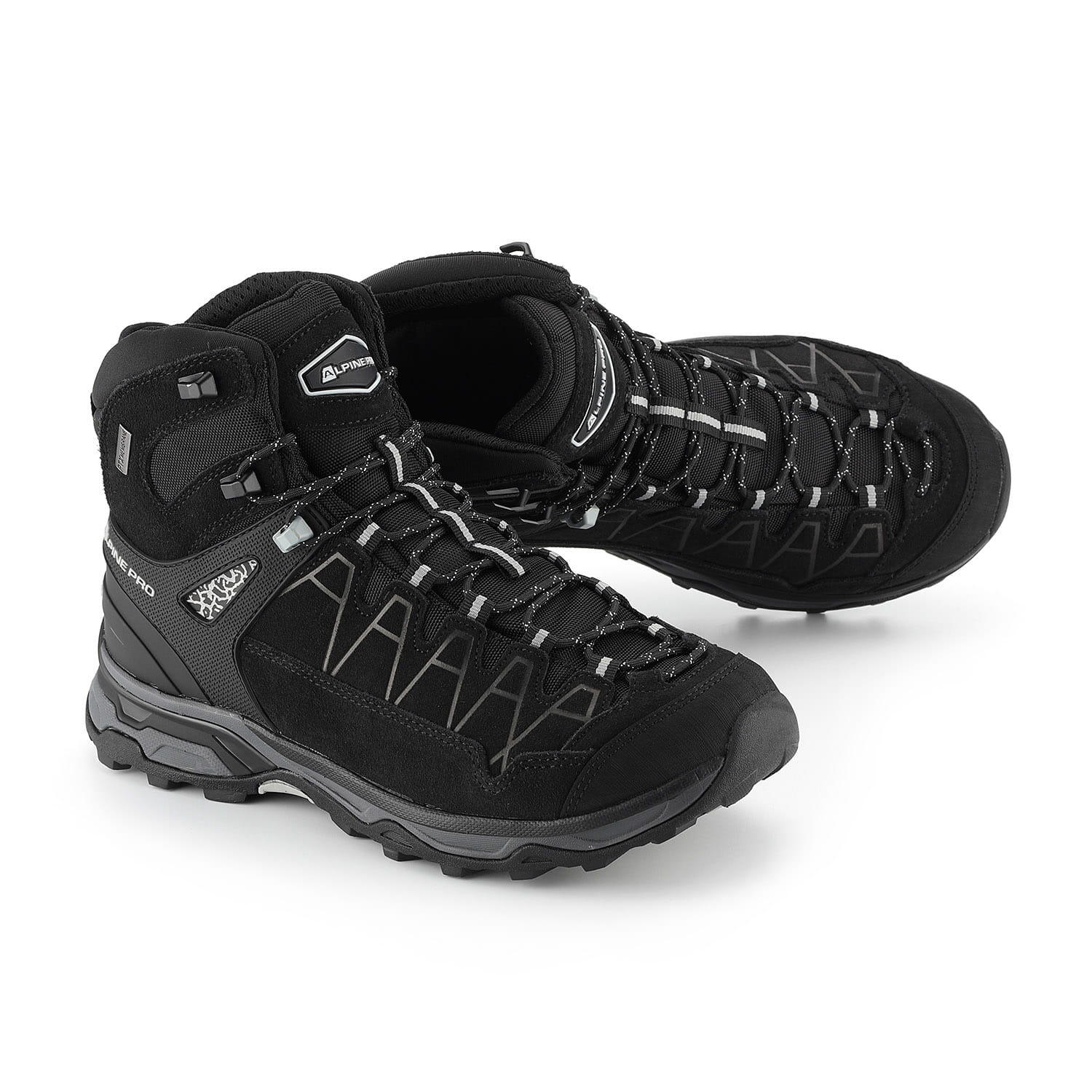 ALPINE PRO picture