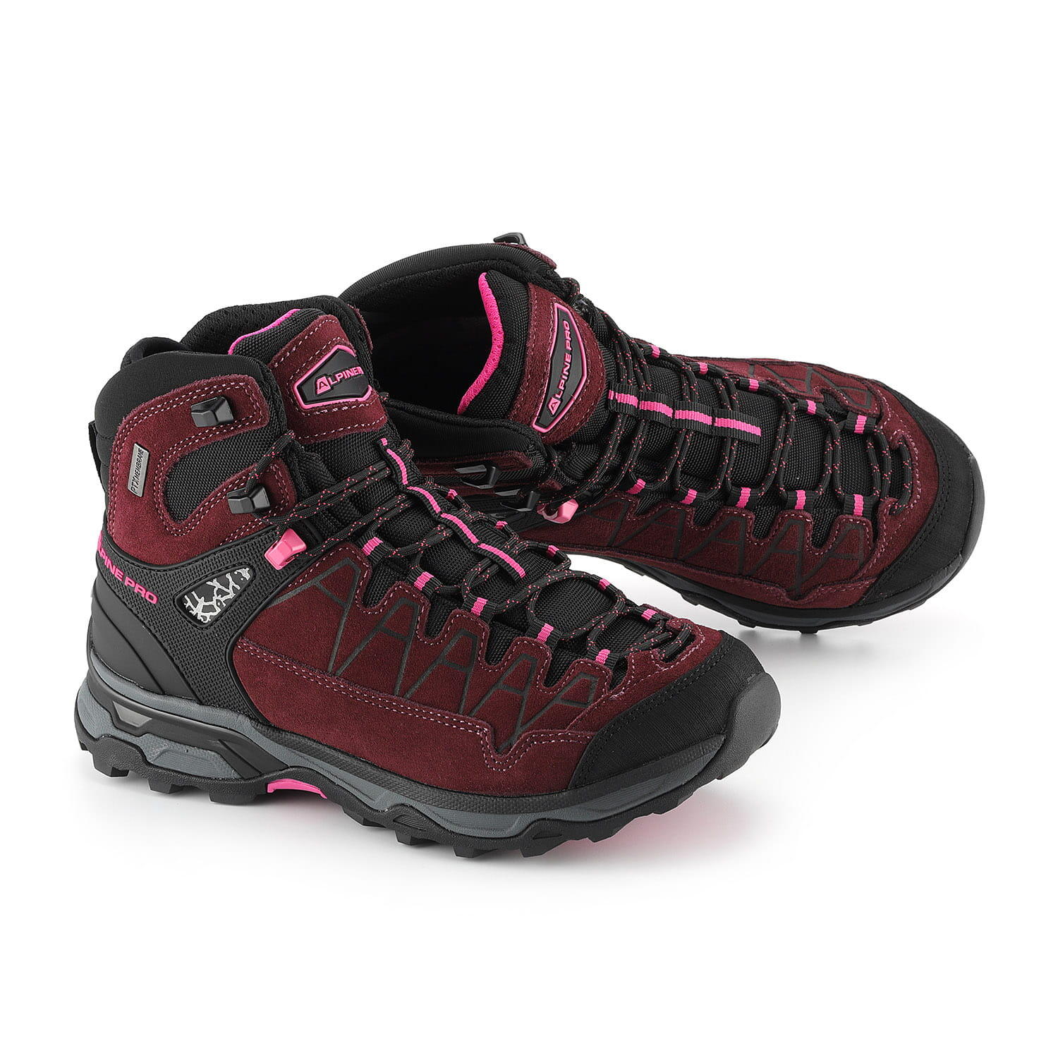 ALPINE PRO picture