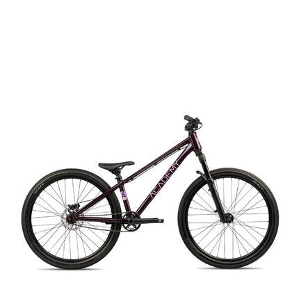 ACADEMY Pump 4 - 20 Zoll Kinder Dirtjump Bike frost