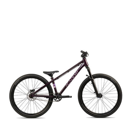 ACADEMY Pump 4 - 20 Zoll Kinder Dirtjump Bike frost