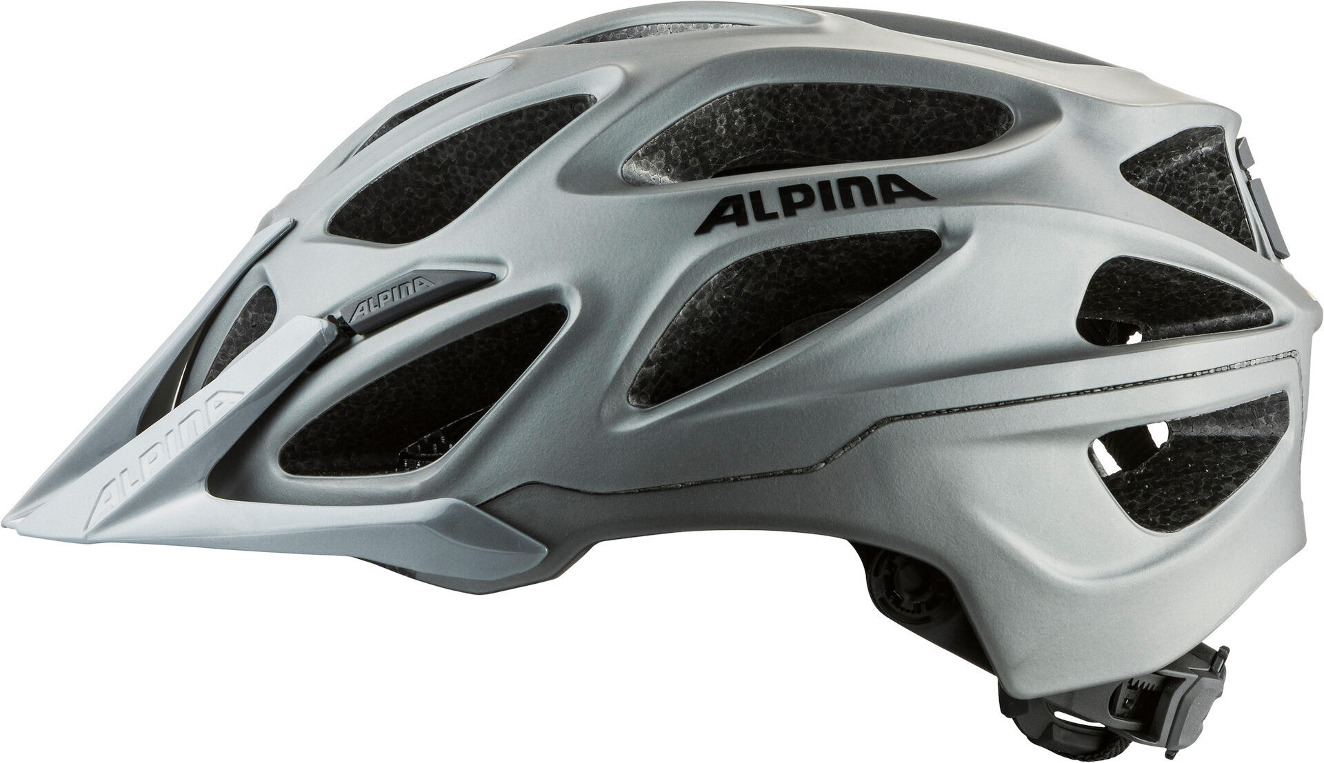 ALPINA picture