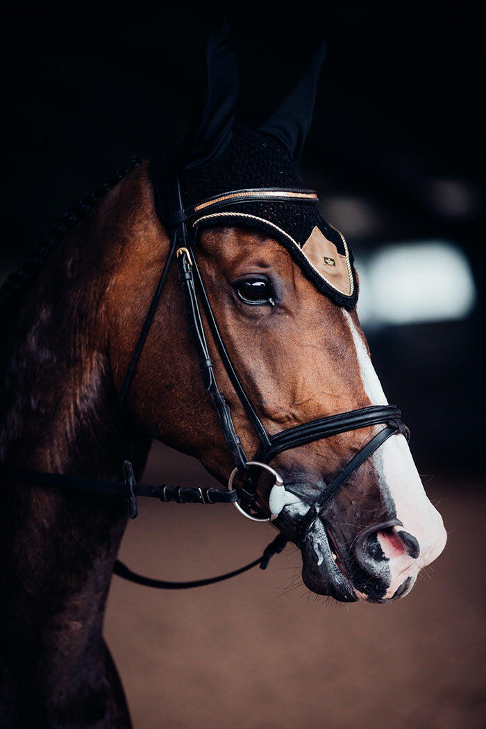 EQUESTRIAN STOCKHOLM picture