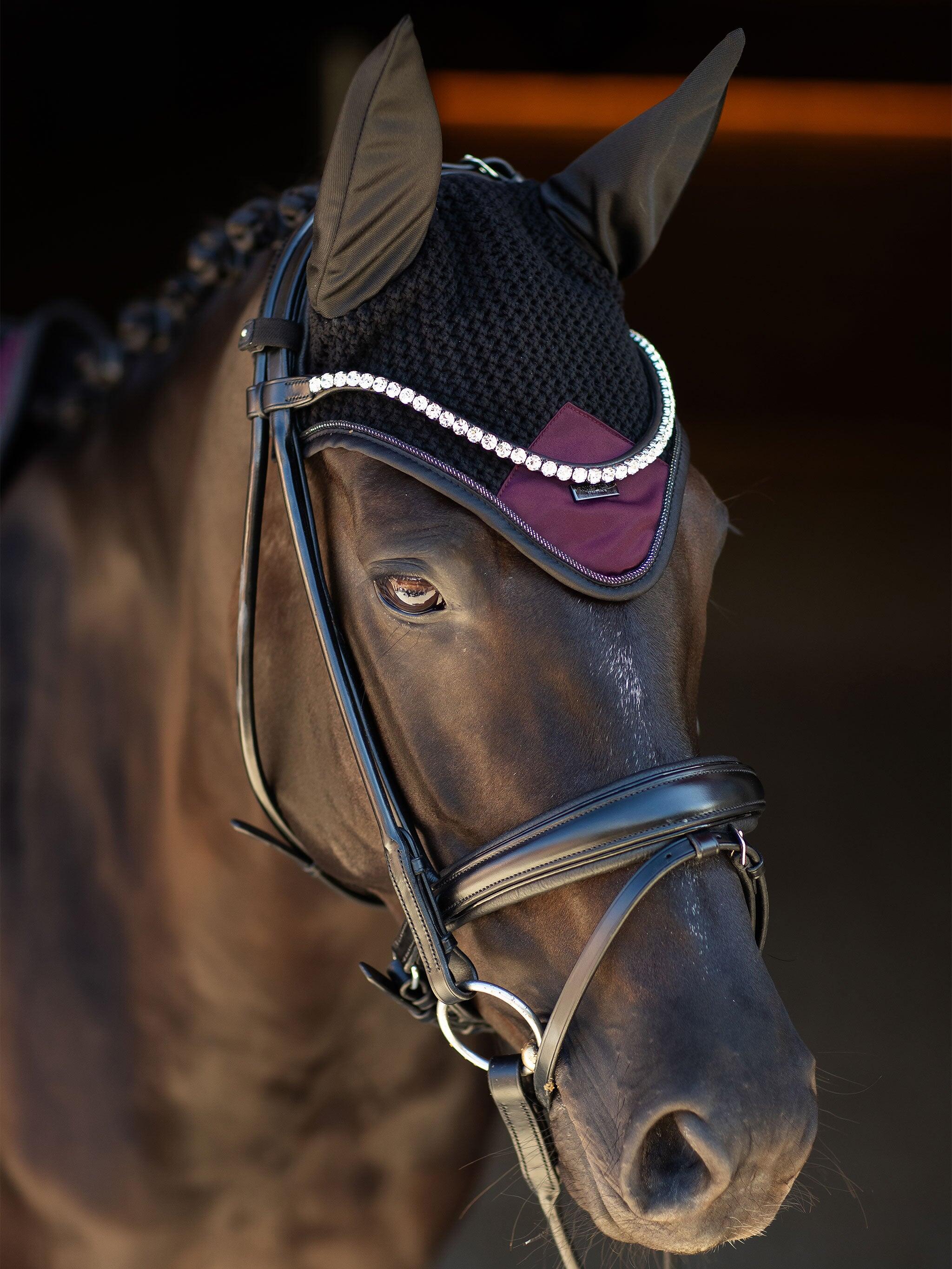 EQUESTRIAN STOCKHOLM picture