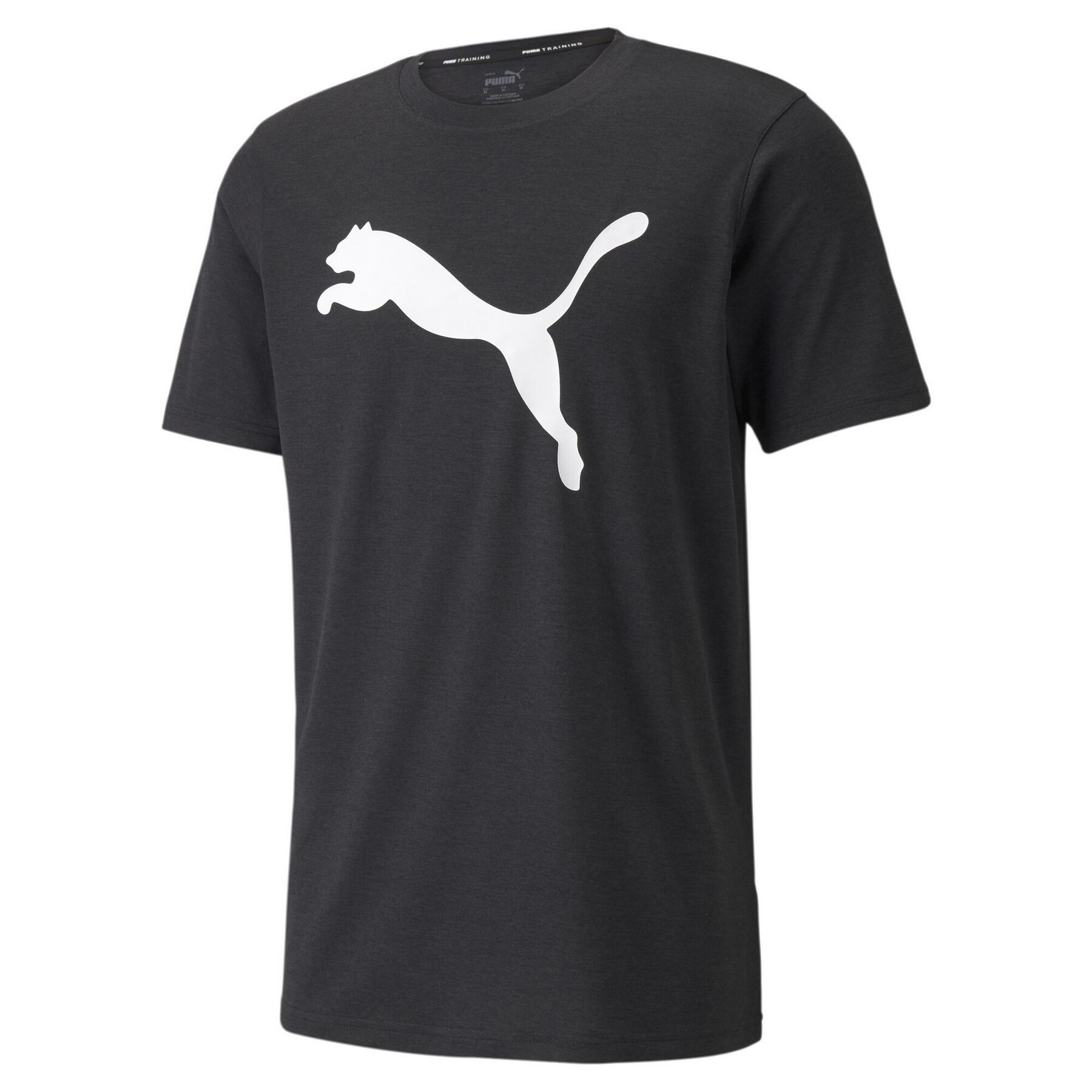 PUMA picture