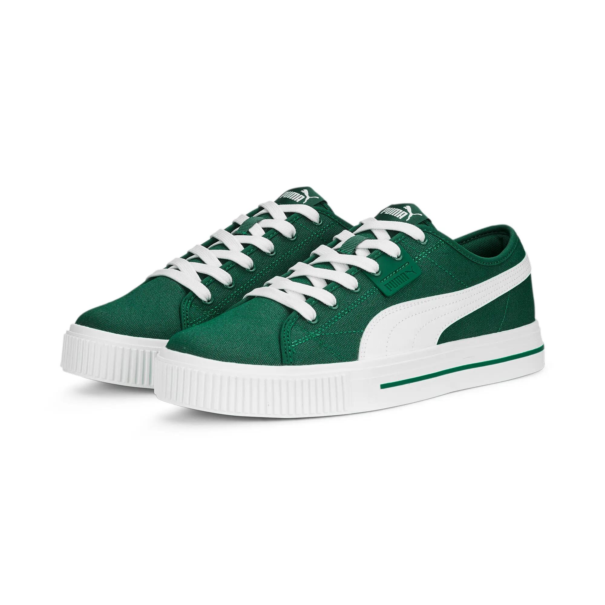 PUMA picture