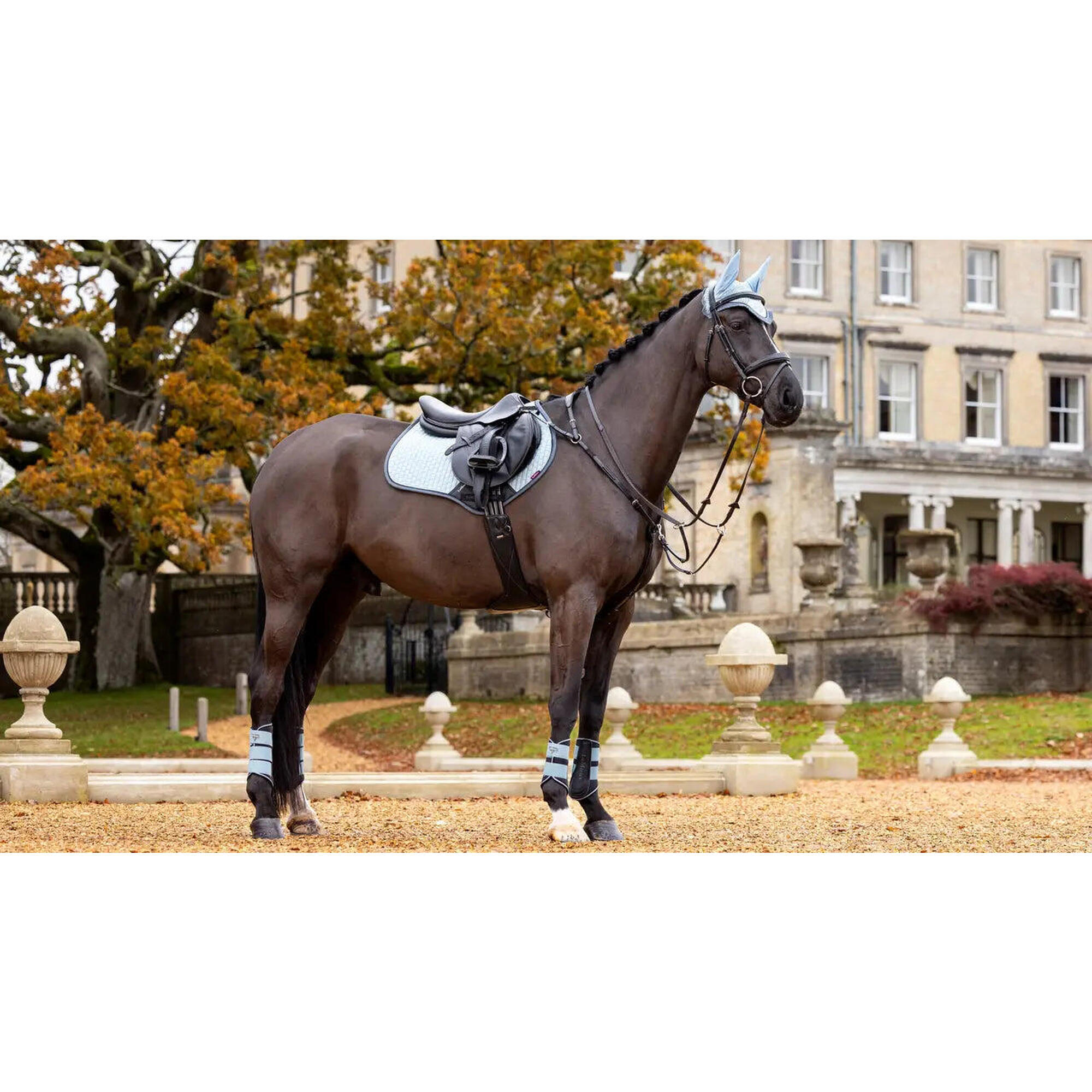 Lemieux - Tapis De Selle Suede Close Contact Square Glacier - Lemieux - Tapis De Selle - Bleu - 42 M/l - Decathlon