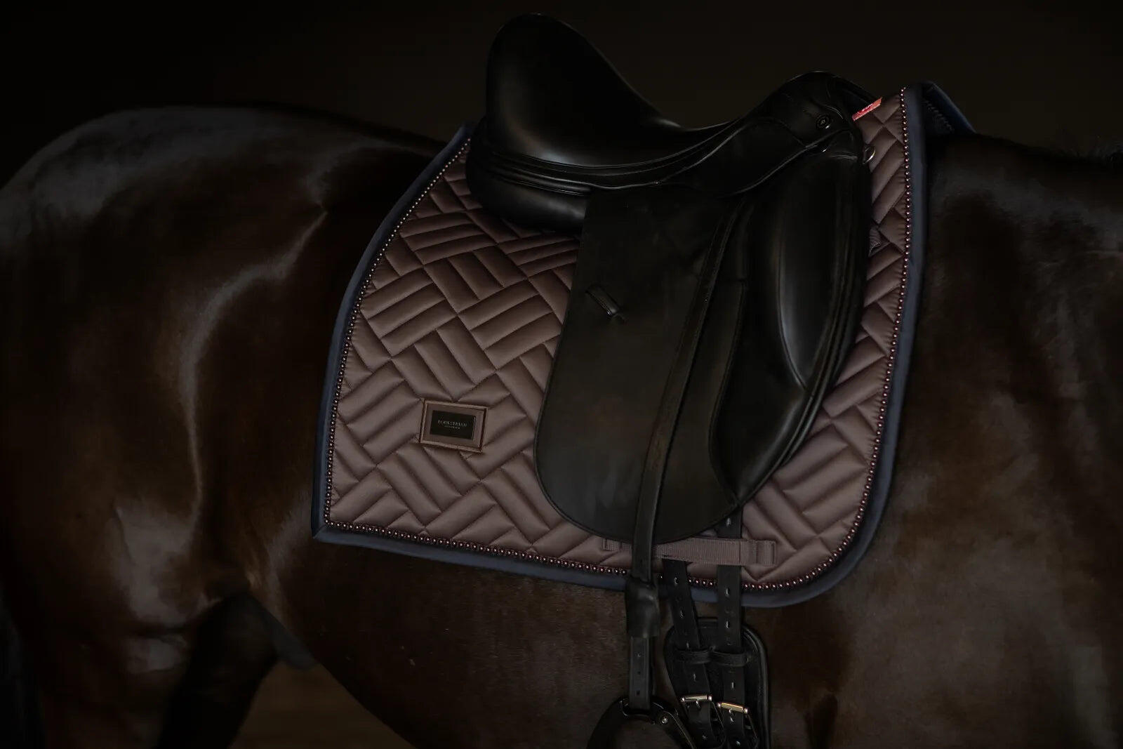 EQUESTRIAN STOCKHOLM picture