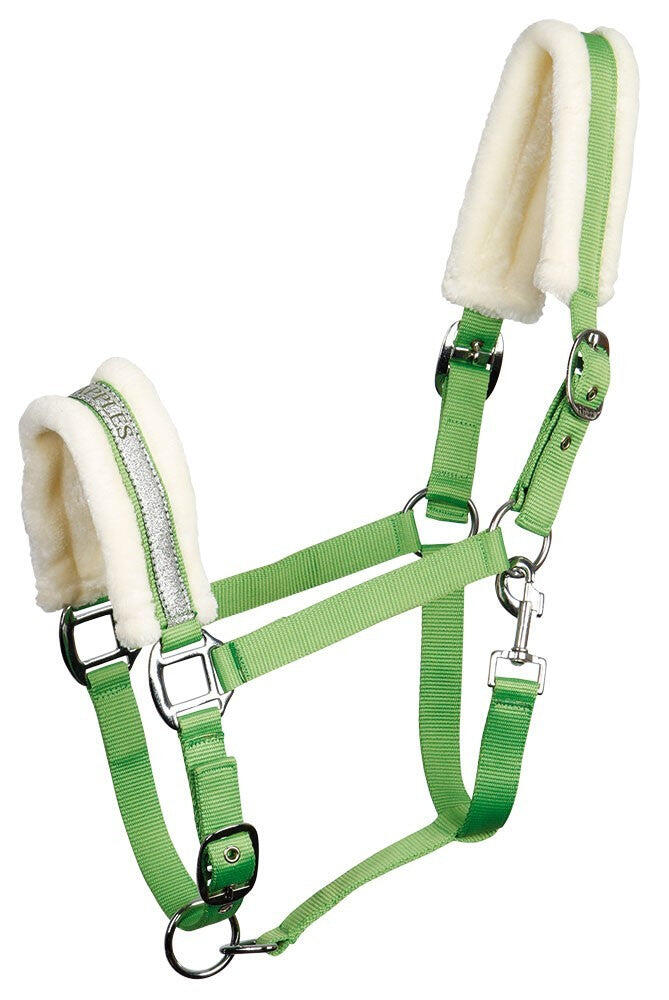 HARRYS HORSE picture