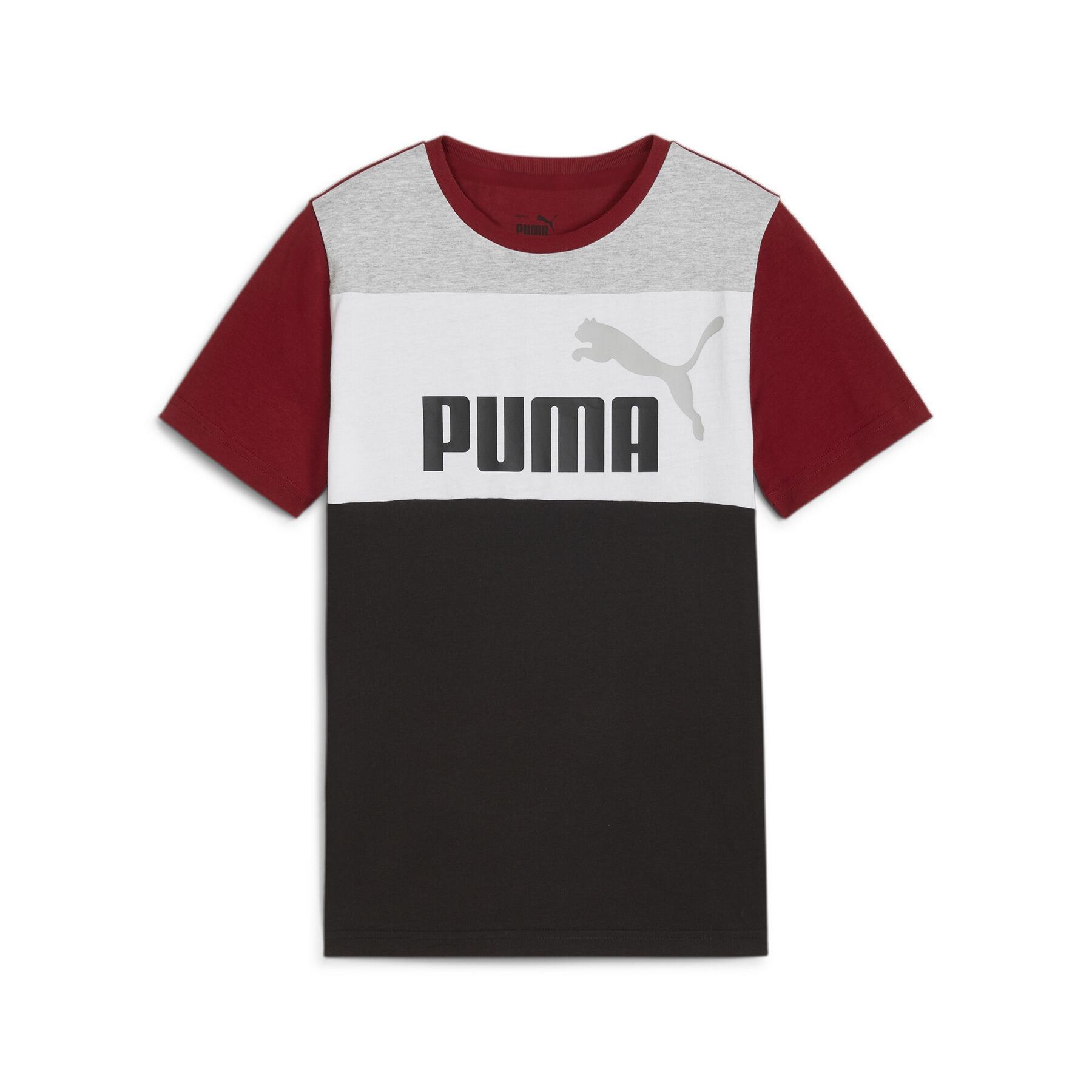 PUMA picture