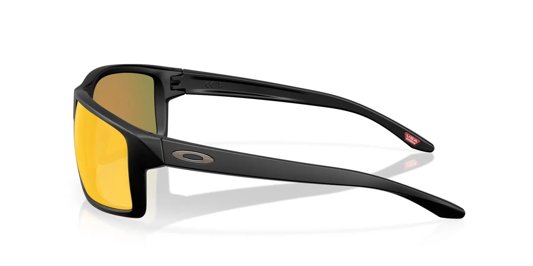 Lunettes de soleil adulte Gibston XL 3/14