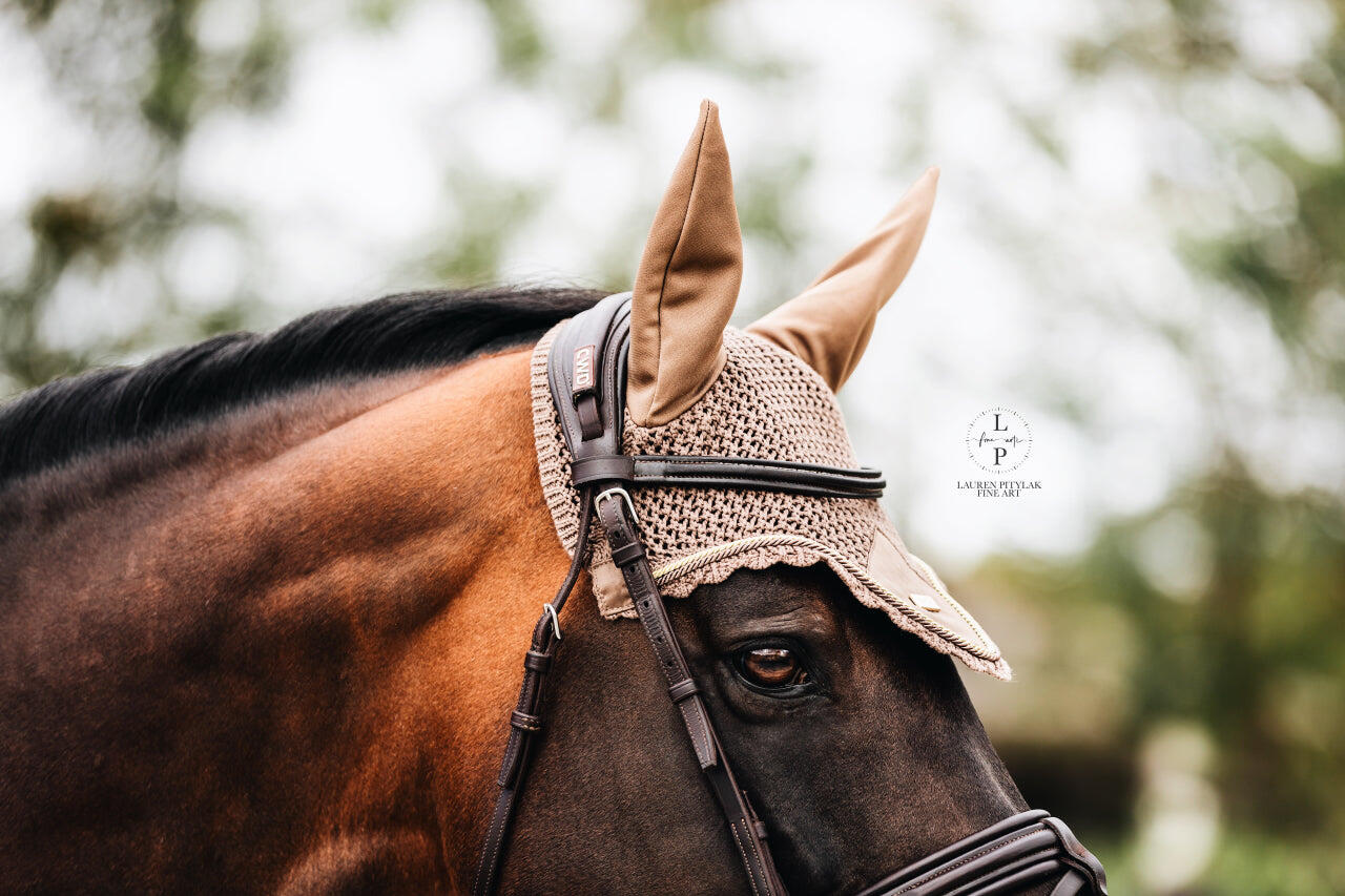 EQUESTRIAN STOCKHOLM picture