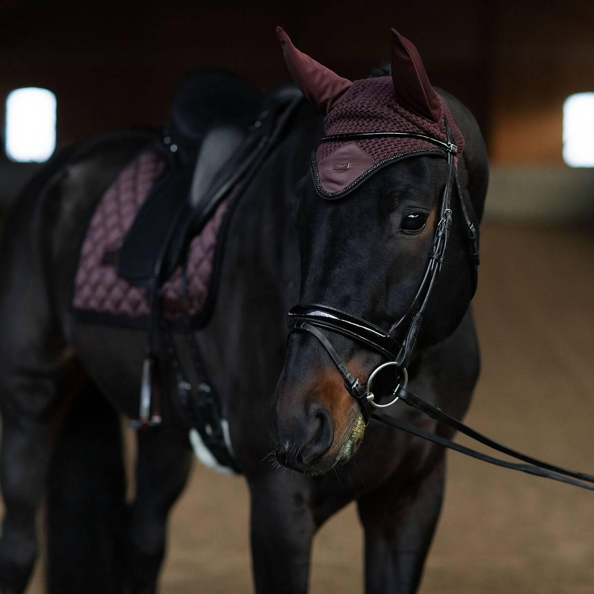 EQUESTRIAN STOCKHOLM picture