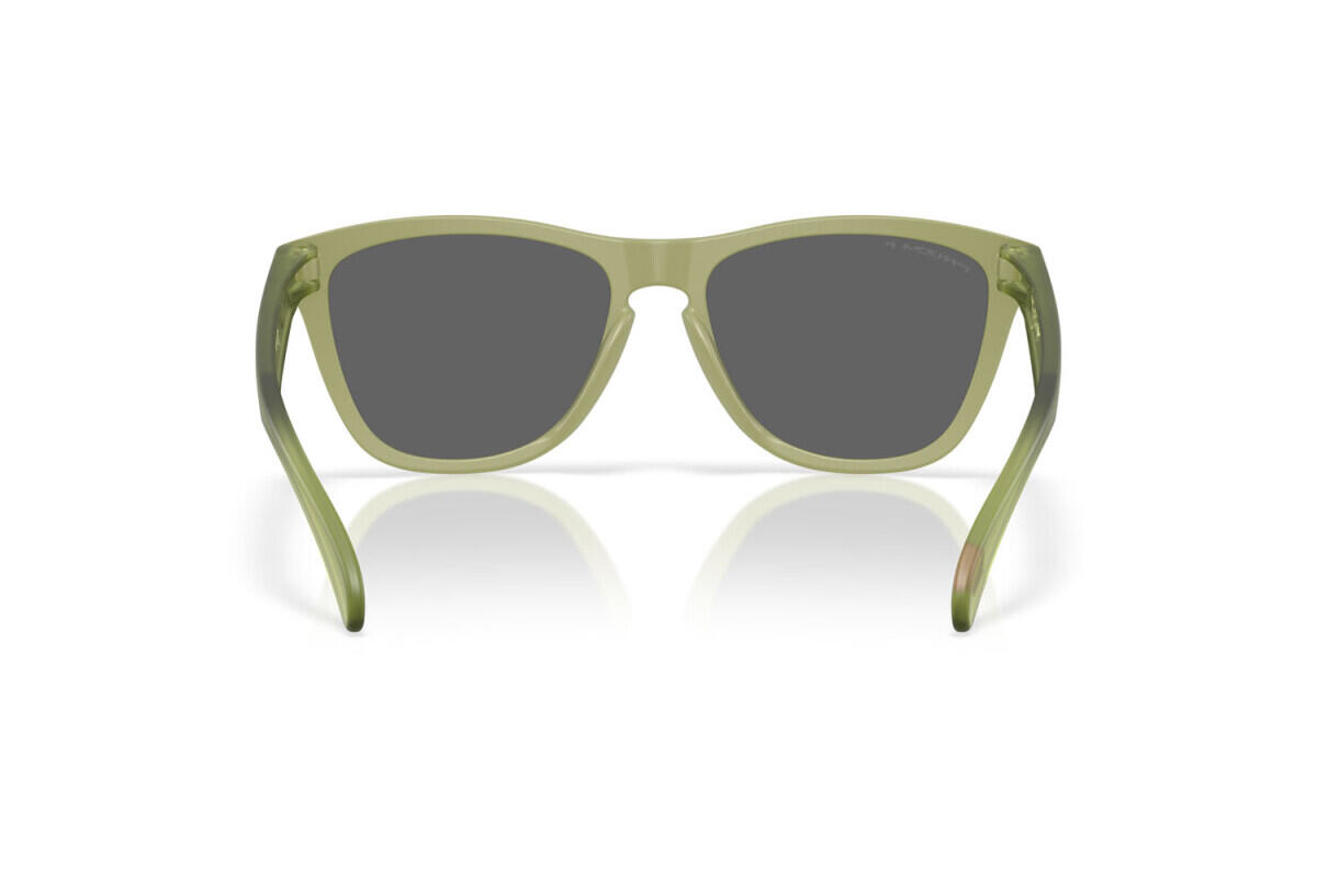 Lunettes de soleil Oakley Frogskins OO9013 homme O Matter 4/4