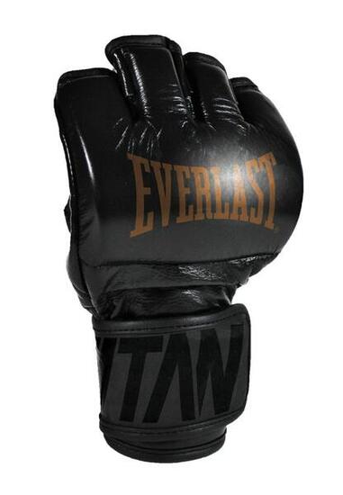 Gants Everlast Titan MMA Pro | Noir | XL