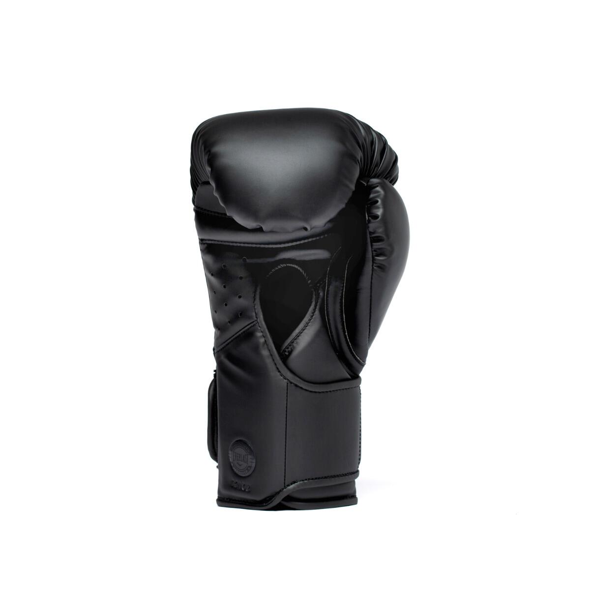 Everlast Elite 2 Pro Hook & Loop Guantes | Negro | 16-OZ 4/5