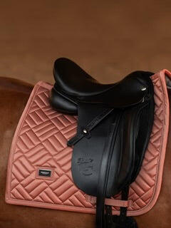 EQUESTRIAN STOCKHOLM picture