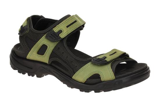 Ecco Offroad Herren Sandale grün 069564