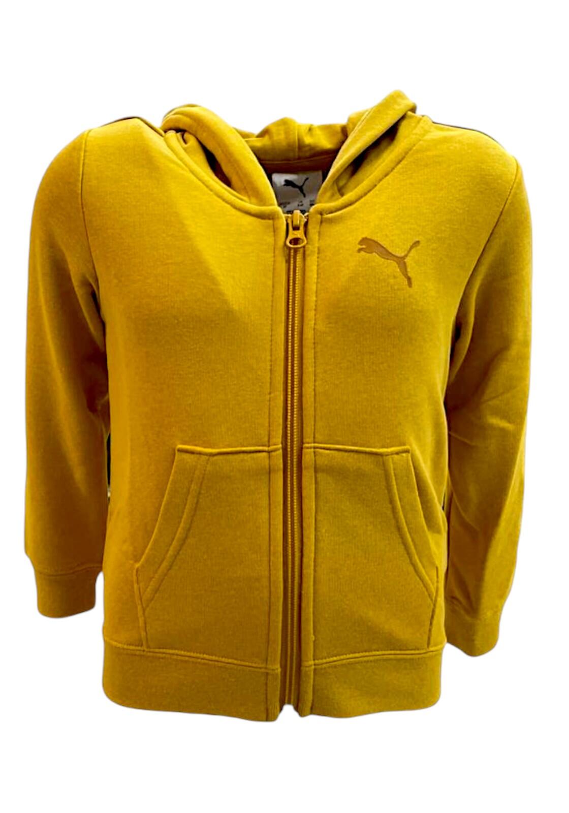 PUMA picture