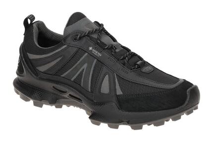 Ecco Biom C-Trail Schuhe schwarz Herren Running GORE-TEX 803464