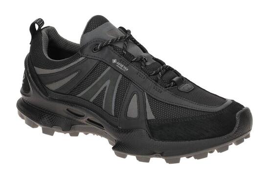 Ecco Biom C-Trail Schuhe schwarz Herren Running GORE-TEX 803464