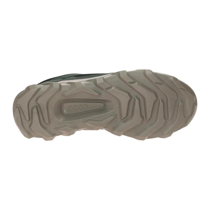 Kosarak Ecco MX