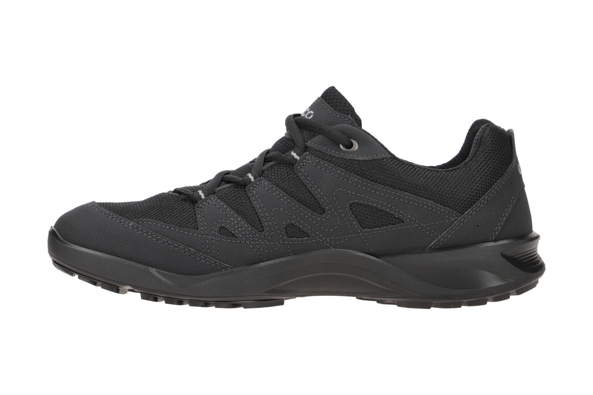 Ecco TerraCruise LT Herren Schuhe schwarz GORE-TEX 5/7
