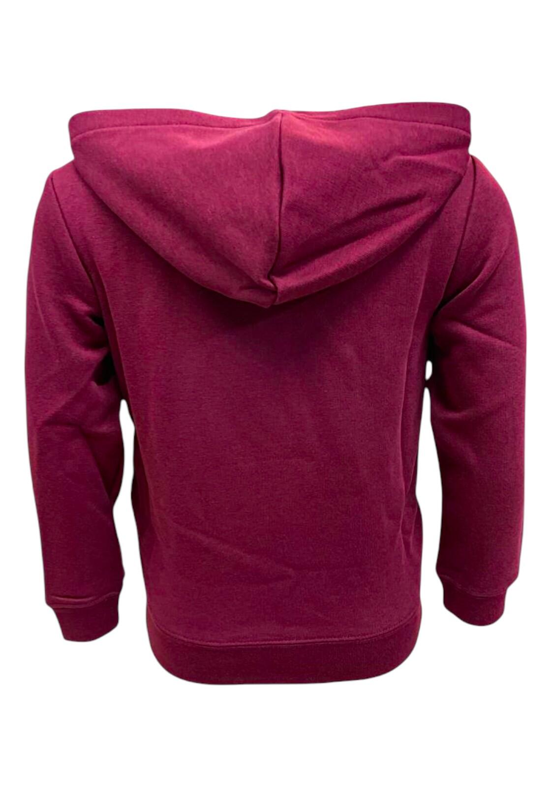 ESS GRAPHIC HOODIE COL 98 2/3