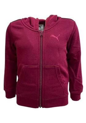 ESS GRAPHIC HOODIE COL 98